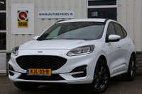 Afbeelding 51