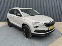 Afbeelding 21