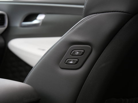 Hyundai Santa Fe PHEV PREMIUM PLUS SKY/ 7-PERSOONS/ TREKHAAK/ NL-AUTO 1STE EIGENAAR