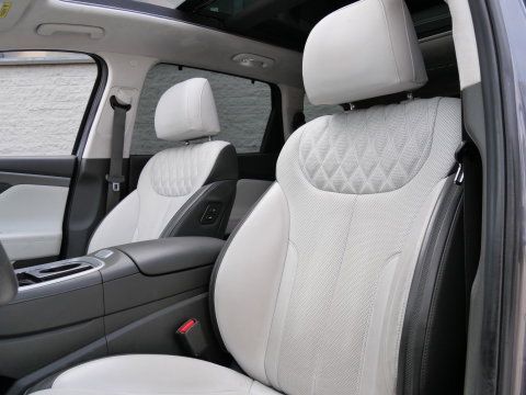 Hyundai Santa Fe PHEV PREMIUM PLUS SKY/ 7-PERSOONS/ TREKHAAK/ NL-AUTO 1STE EIGENAAR