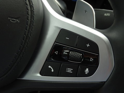BMW 5 Serie 530e xD 292PK iPerf / H. Exe / M Individual / LED