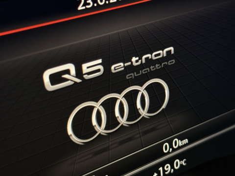 Audi Q5 50 TFSI e 299PK / S-Line / 20'' Rotor / panoramadak / LED