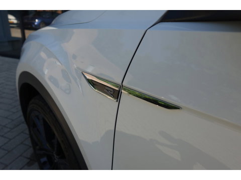 Volkswagen T-Roc 1.5 TSI R-Line PANO KEYLESS CAM