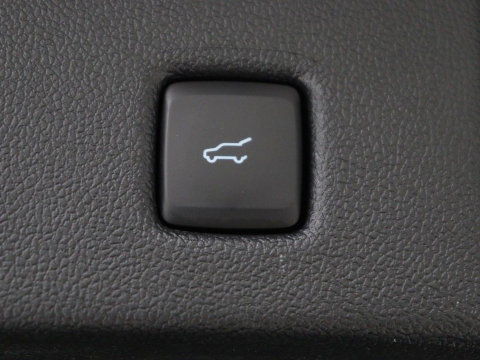 Ford Kuga 2.5 PHEV ST-Line | SOH 94,5% | Adaptive cruise | Leder/Alcantara | Camera | Carplay | Side Assist | Navigatie | Keyless | Parkeerhulp | Elektrische kofferklep | Climate control | Plug In