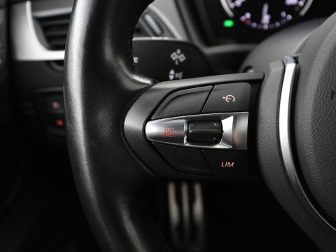 BMW X2 xDrive25e Goldplay Edition | SOH 82,1% | M Sport | Leder | Head-Up | Sportstoelen | 19'' velgen | Sfeerverlichting | Camera | Stoelverwarming | Navigatie | Full LED | Keyless | DAB | Park Assist | Memory | PHEV | Plug In