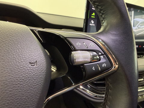 Škoda Enyaq iV 80 SOH 91% Panoramadak Trekhaak Wegklapbaar Warmtepomp 24 Maanden garantie* (Vraag naar de voorwaarden)