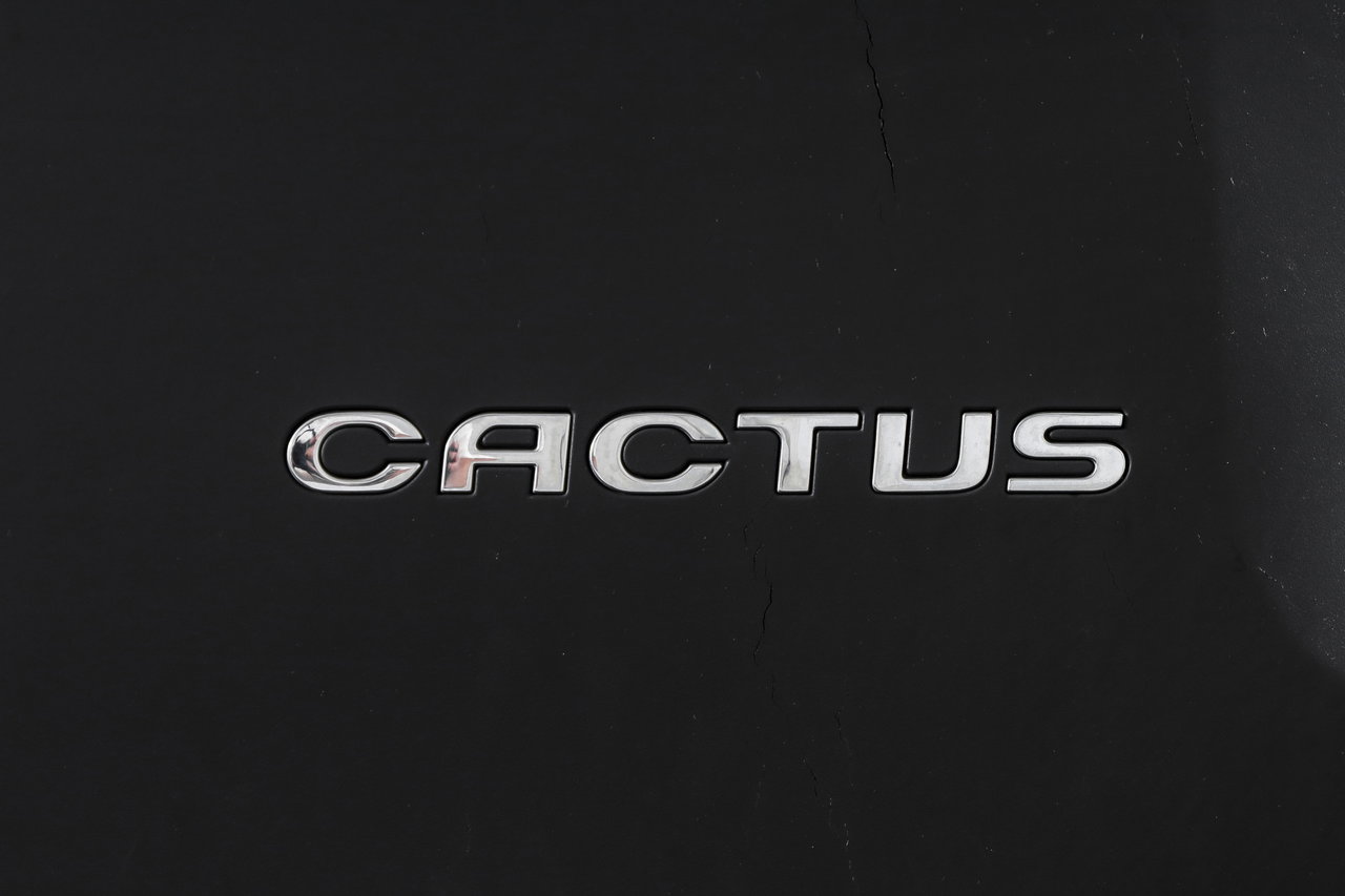 Citroën C4 Cactus