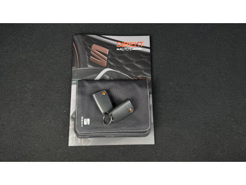 SEAT Leon ST 2.0 TSI CUPRA R 4DRIVE PANO CARBON BREMBO BEATS