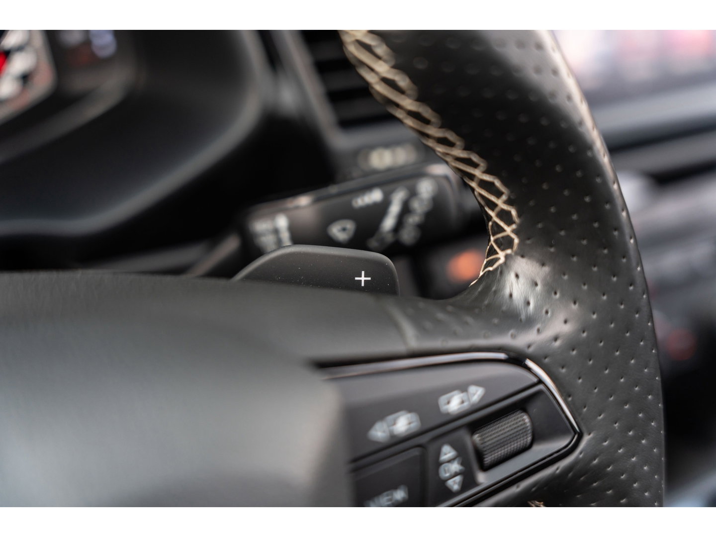 SEAT Leon 2.0 TSI CUPRA PERFORMANCE PANO BEATS BREMBO CAMERA