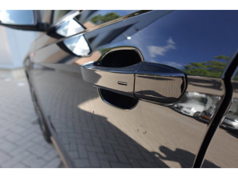 Volkswagen Polo 2.0 TSI GTI PANO KEYLESS BEATS