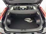 Kia Niro EV