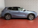 Geely Starray EM-i