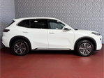 Geely Starray EM-i