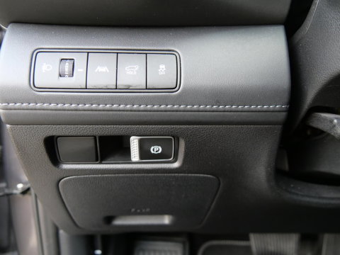 Hyundai Santa Fe HEV PREMIUM/ 7-PERSOONS/ TREKHAAK/ 360° CAMERA/