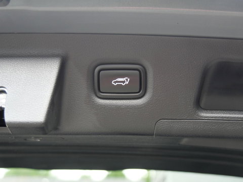 Hyundai Santa Fe HEV PREMIUM/ 7-PERSOONS/ TREKHAAK/ 360° CAMERA/