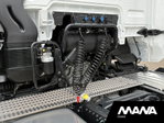 MAN TGX