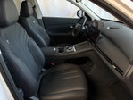 Geely Starray EM-i