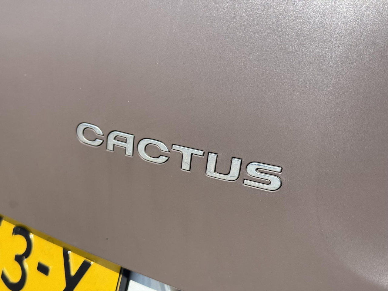 Citroën C4 Cactus