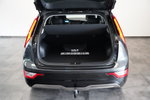 Kia Niro EV