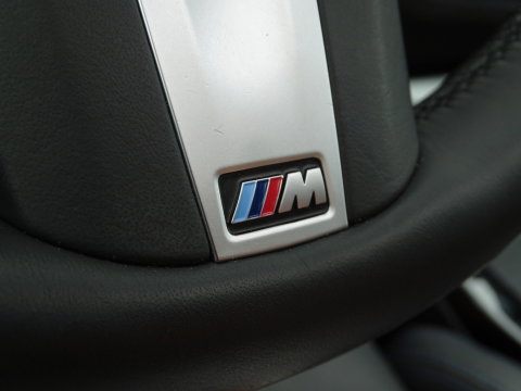BMW X3 30e 292PK X-Drive M-Sport / pano / head-up / BTW