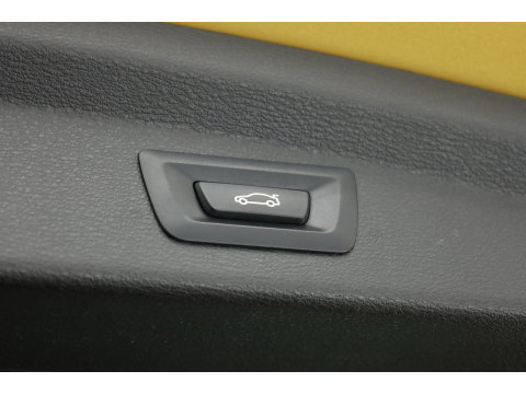 BMW X2 sDrive20i | Navi | Stoelverw. | Elek. Achterklep | Afn. Trekhaak | All Seasons