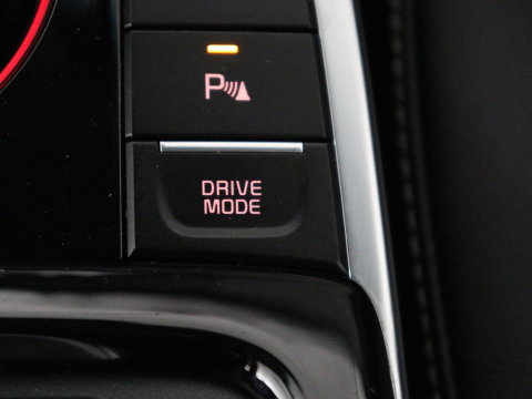 Kia e-Niro DynamicPlusLine 64 kWh | SOH 95.2% | Panoramadak | Half Leder | Adaptive cruise | Stuur/stoel verwarming | Camera | Park assist | Carplay | Climate control | Virtual dashboard | Full LED |