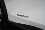 Ford Mustang Mach-E