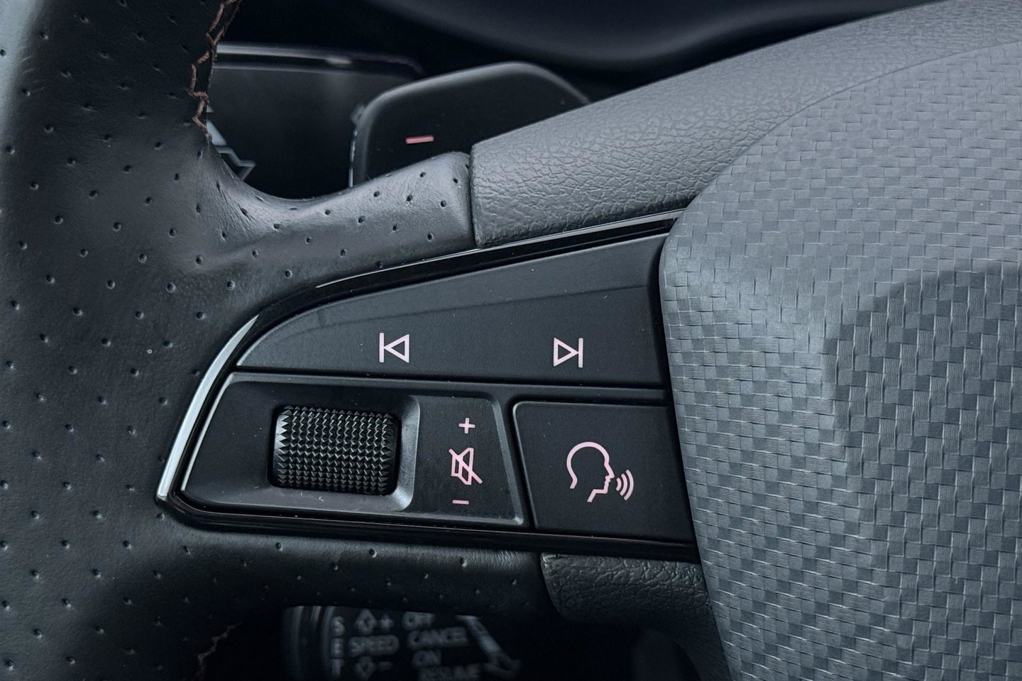 CUPRA Ateca 2.0 TSI 4DRIVE | Panoramadak | Beats Audio | 360 Camera | ACC | Stoelverwarming | 19 Inch