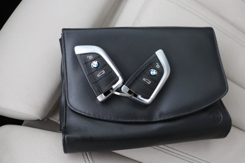 BMW X5 xDrive40e High Executive | Head-Up | Panoramadak | Stoelverwarming | harman/kardon | Camera