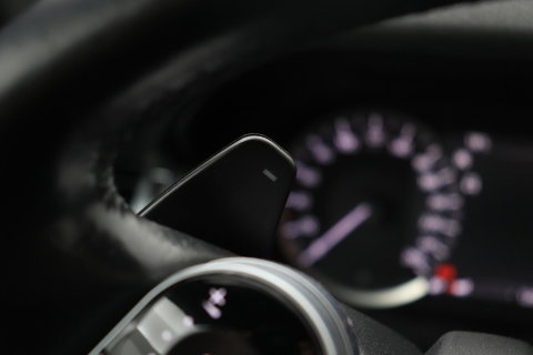 Land Rover Discovery Sport P200 R-Dynamic | Trekhaak | Camera | Getint Glas | Apple Carplay