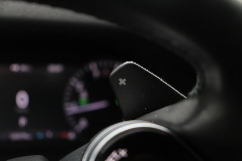 Land Rover Discovery Sport P200 R-Dynamic | Trekhaak | Camera | Getint Glas | Apple Carplay