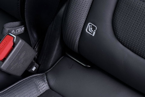 Land Rover Range Rover Sport 3.0 P550e Autobiography PHEV | British Racing Green | Performance Voorstoelen | Trekhaak | Luchtvering | Panoramadak | Meridian 3D | 23 Inch