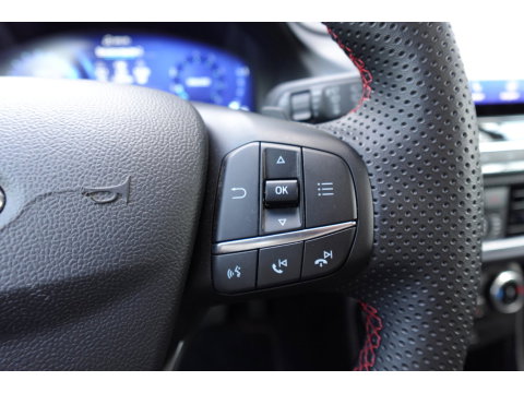Ford Puma 1.0 EcoBoost Hybrid ST-Line X PANO B&O CAM