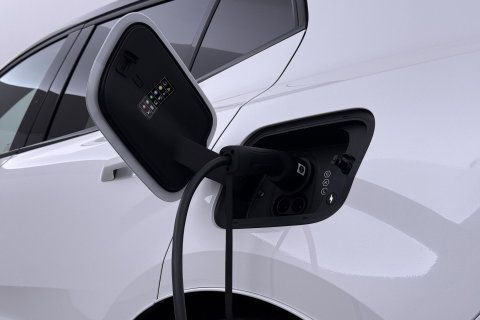 Volvo EX30 Single Motor Extended Range Plus 69 kWh | EVERLAST Edition | ACC | 21 Inch | Harman/Kardon | Warmtepomp | Stoel+Stuurverwarming