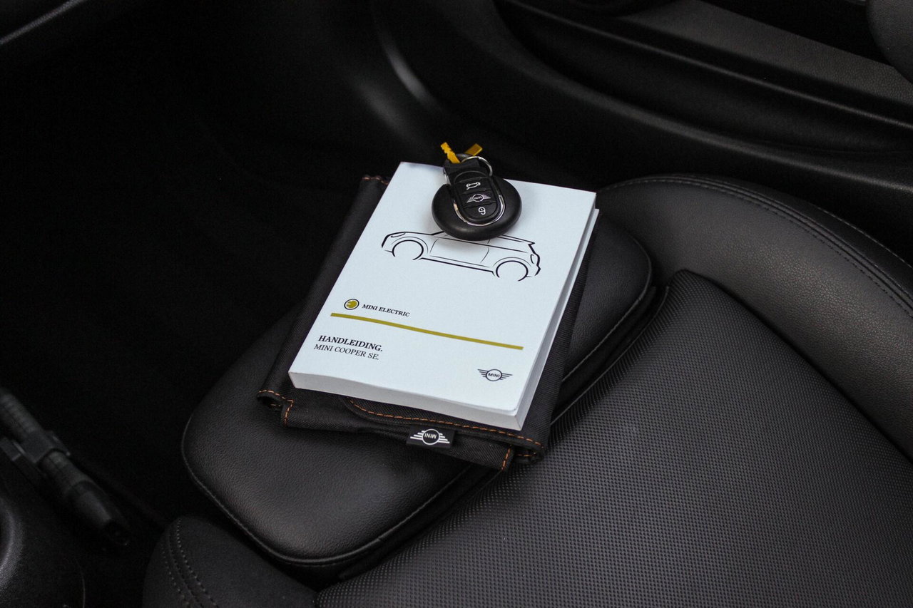 MINI Electric