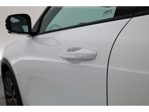 GEELY Starray EM-i 1.5 Max | 18.4 kWh Batterij | 83km WLTP | Stoel- stuurverw. | Pano | 360cam | Stoelvent. | 19'' | HUD | Flyme