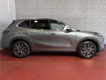 Geely Starray EM-i