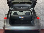 Geely Starray EM-i