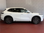 Geely Starray EM-i