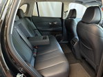 Geely Starray EM-i