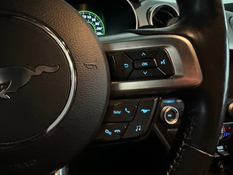 Ford Mustang Fastback 5.0 V8 GT Stoelverwarming |Stoelventilatie|Camera|Keyless|
