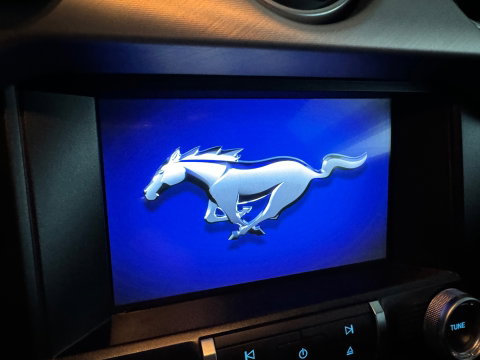 Ford Mustang Fastback 5.0 V8 GT Stoelverwarming |Stoelventilatie|Camera|Keyless|