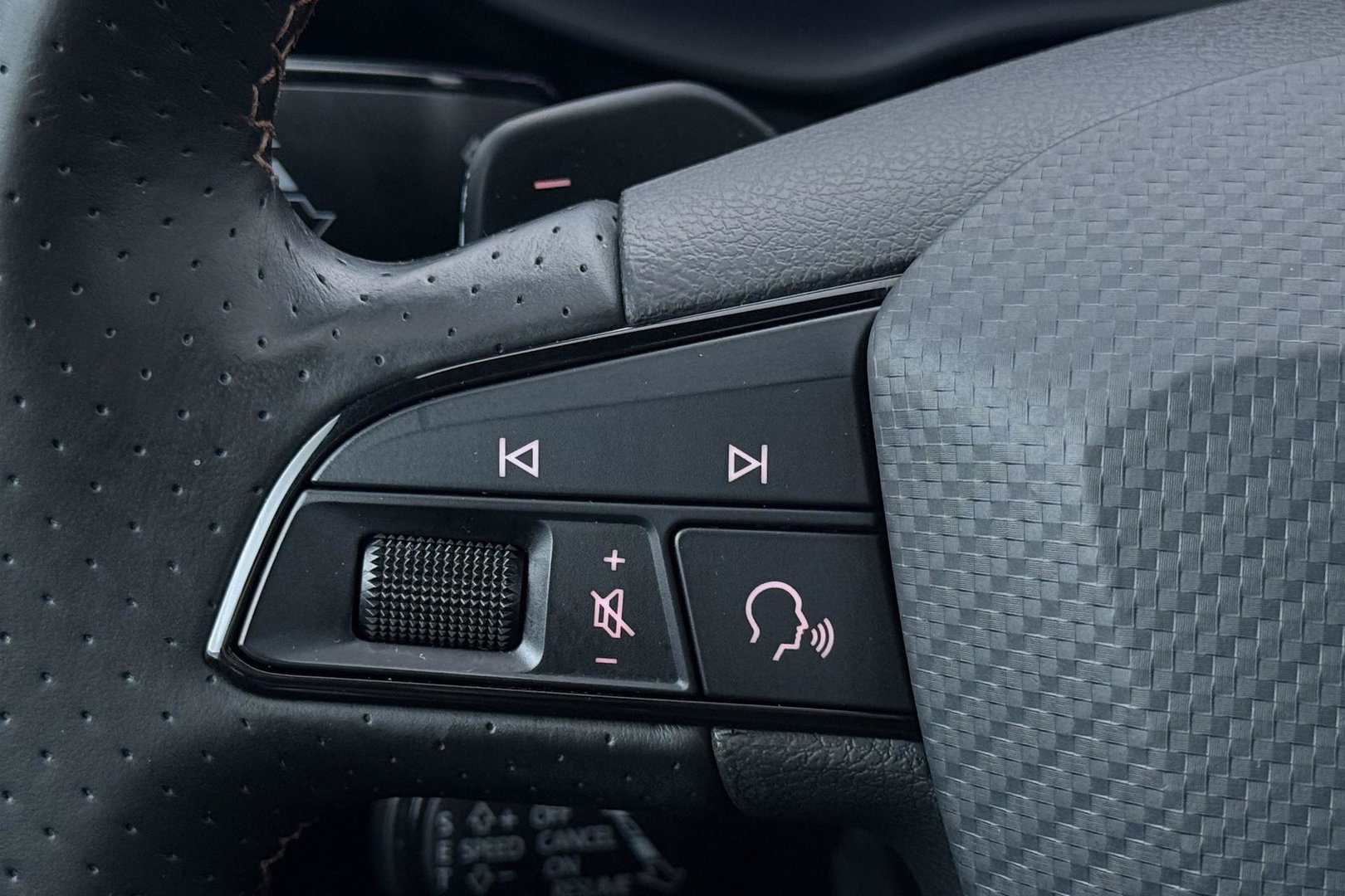 CUPRA Ateca 2.0 TSI 4DRIVE | Panoramadak | Beats Audio | 360 Camera | ACC | Stoelverwarming | 19 Inch