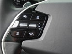 Kia Niro EV