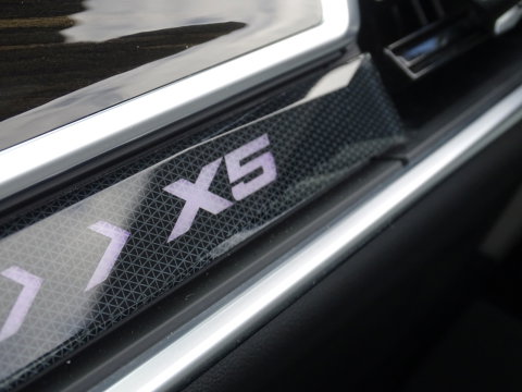 BMW X5 50e 490PK xDrive M-Sport / Individual / Skylounge / Harman Kardon