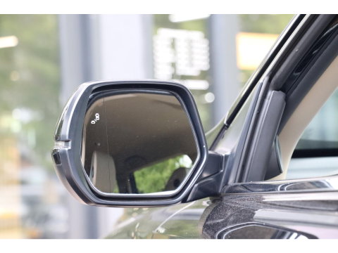 Honda CR-V 2.0 Hybrid Lifestyle | Trekhaak | Leder