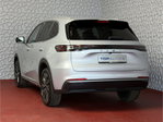 Geely Starray EM-i