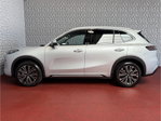 Geely Starray EM-i