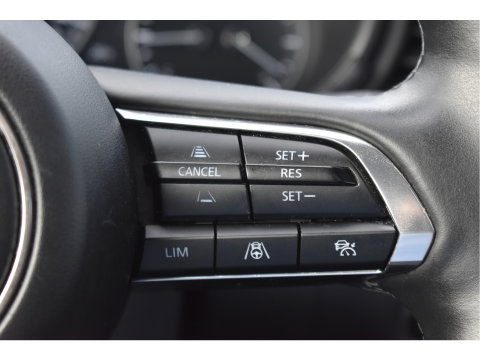 Mazda CX-30 2.0 e-SkyActiv-X M 186 pk Hybrid Exclusive-line | NL-Auto | HUD | Afn.trekhaak | Open dak | BOSE | 360 gr.camera | Keyless | Memorystoel | Full LED