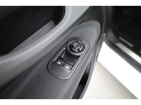 Fiat 500 42 kWh | Rijklaar! | Cruise Contr. | Keyless | Camera | Stoelverw. | Dodehoek | Apple CarPlay | PDC V+A